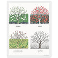 Hedgerow Four Seasons Panels Framed Print Wall Art Ready to Hang UK Framed Art Print — detail view | Wild Thread Co