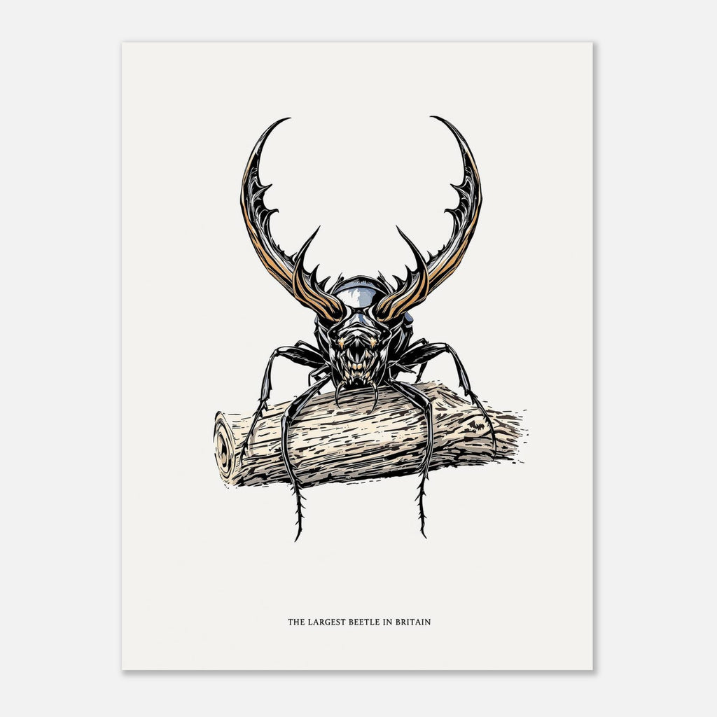 Stag Beetle Oak Log British Insect Art A1 UK Art Print Art Print — detail view | Wild Thread Co