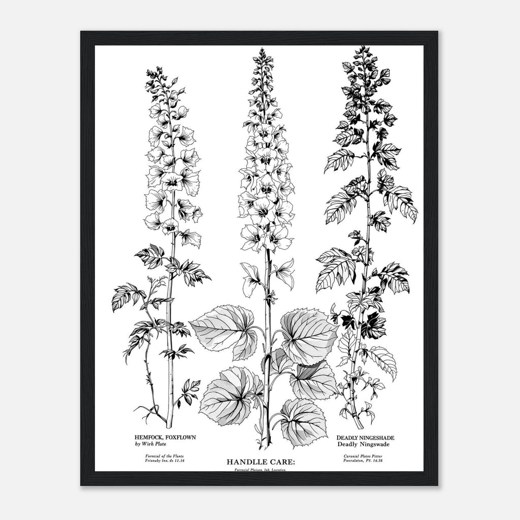 Victorian Botanical Poisonous Plants Framed Print Wall Art Ready to Hang UK Framed Art Print — detail view | Wild Thread Co
