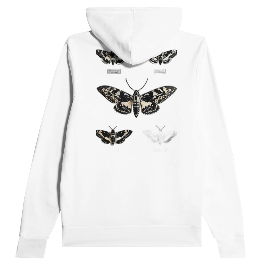 Dark Academia Moth Collector Hoodie — Hoodie | Wild Thread Co