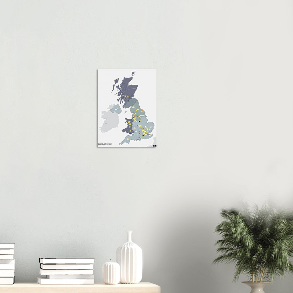 British Weather Emotional Forecast Map A1 Art Print Poster Wall Art UK UK Gift Art Print — detail view | Wild Thread Co