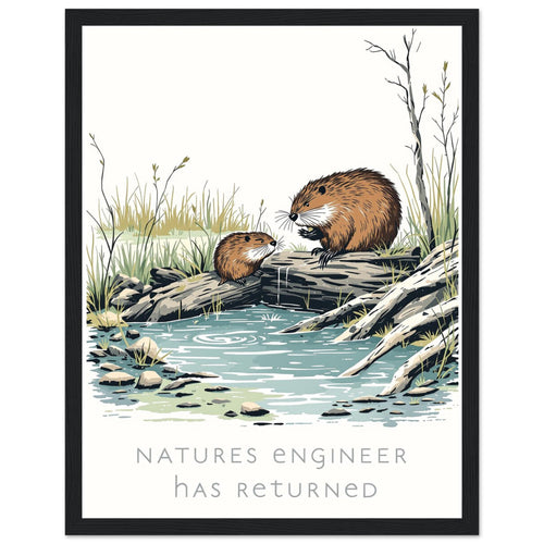Beaver Rewilding Dam Builder — Framed Art Print | Wild Thread Co UK