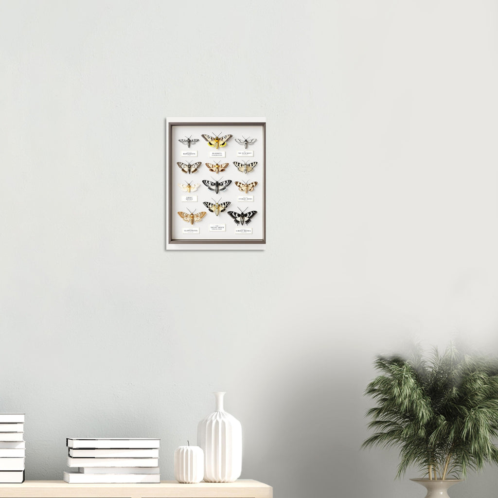 British Moth Specimen Case A1 Art Print Poster Wall Art UK — Art Print | Wild Thread Co