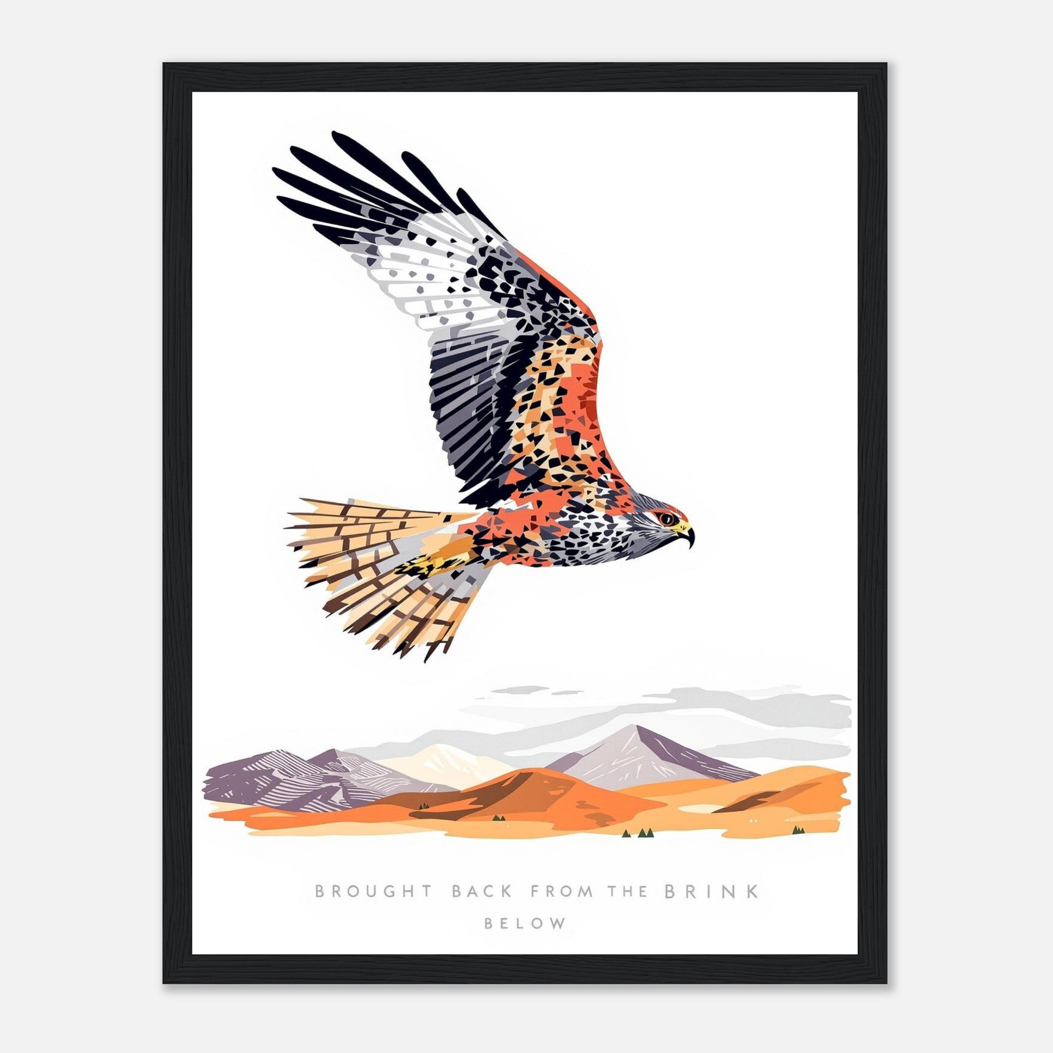 Red Kite Soaring Wales Conservation Framed Art Print — detail view | Wild Thread Co