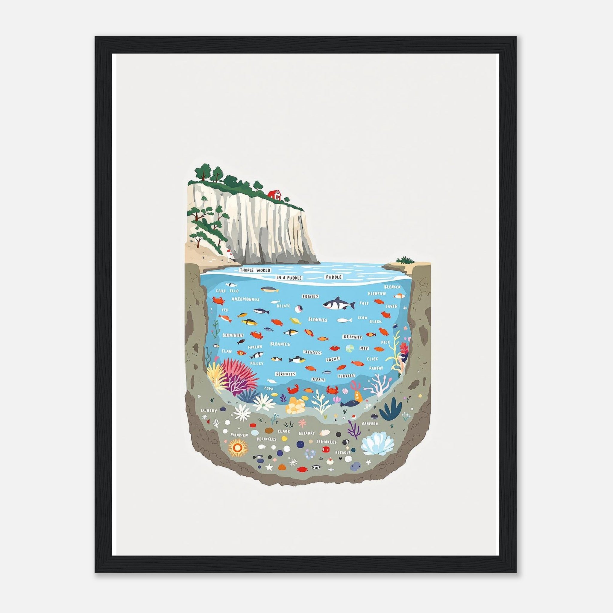 Rock Pool Tidal Cross-section Framed Print Wall Art Ready to Hang UK Framed Art Print — detail view | Wild Thread Co