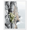 Sea Campion Cliff Crack Granite Framed Art Print — detail view | Wild Thread Co