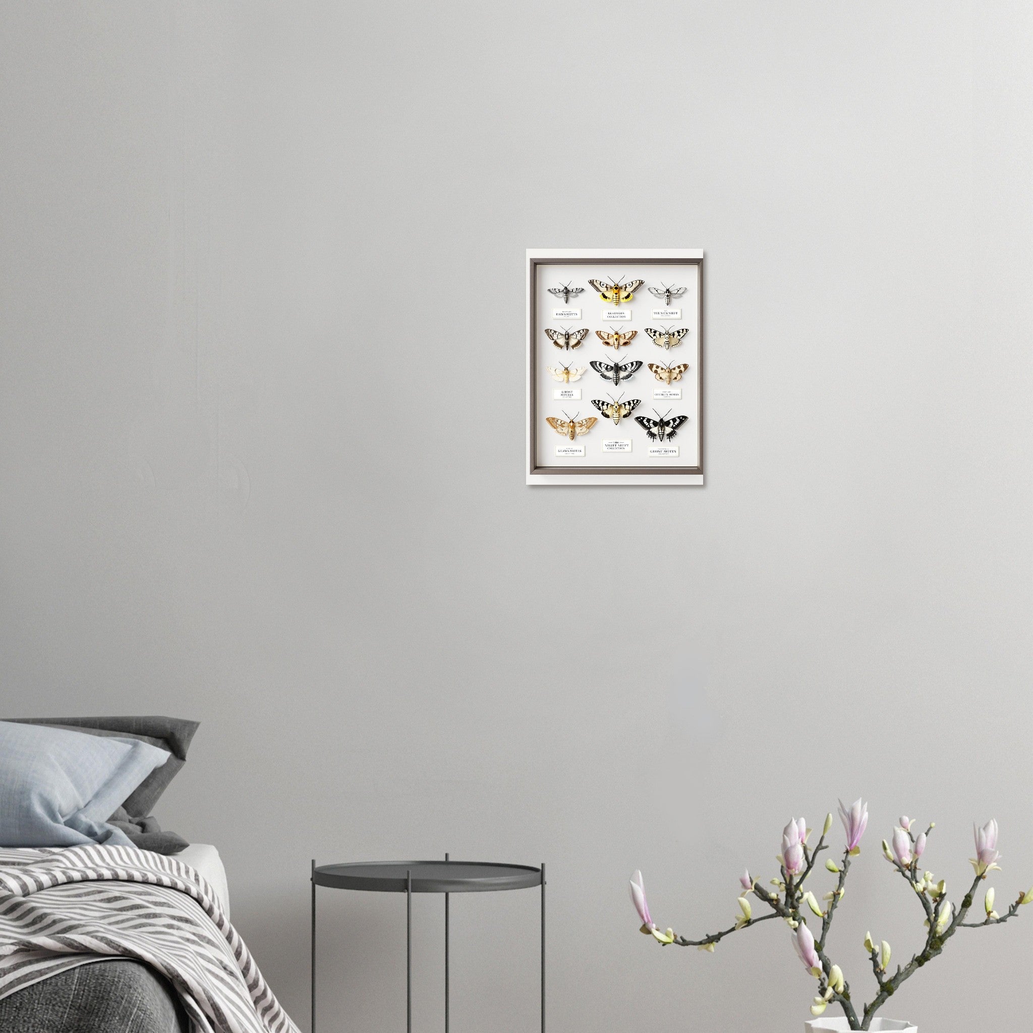 British Moth Specimen Case A1 Art Print Poster Wall Art UK — Art Print | Wild Thread Co
