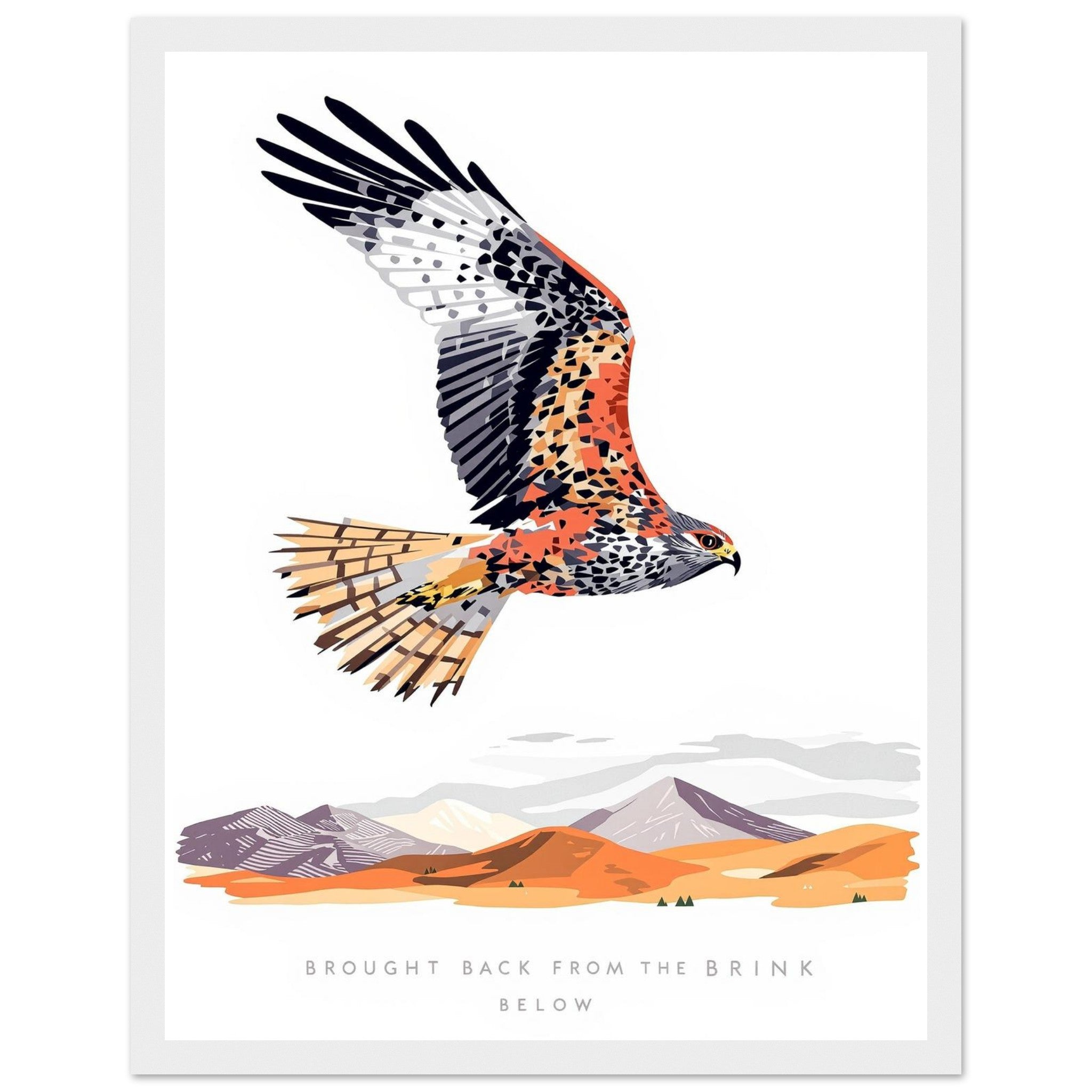 Red Kite Soaring Wales Conservation Framed Art Print — detail view | Wild Thread Co