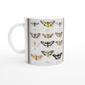 Moth Collector Specimen Case — Mug | Wild Thread Co UK