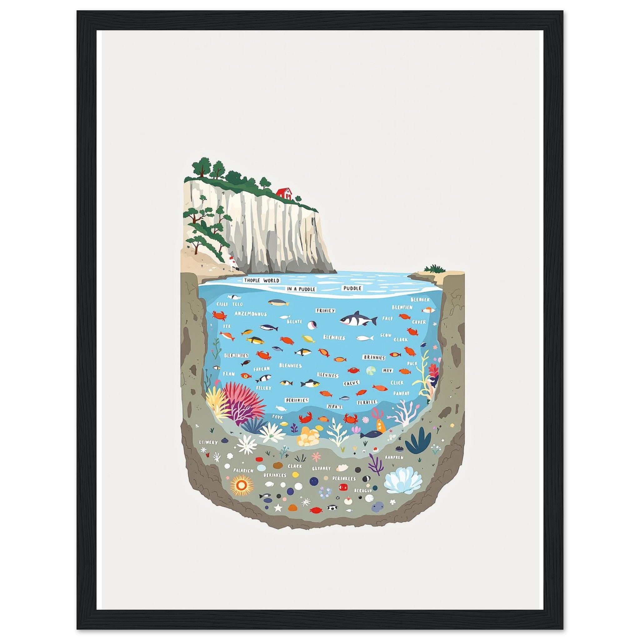 Rock Pool Tidal Cross-section Framed Print Wall Art Ready to Hang UK — Framed Art Print | Wild Thread Co UK
