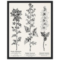 Dark Academia Deadly Botanicals Framed Print Wall Art Ready to Hang Framed Art Print — detail view | Wild Thread Co