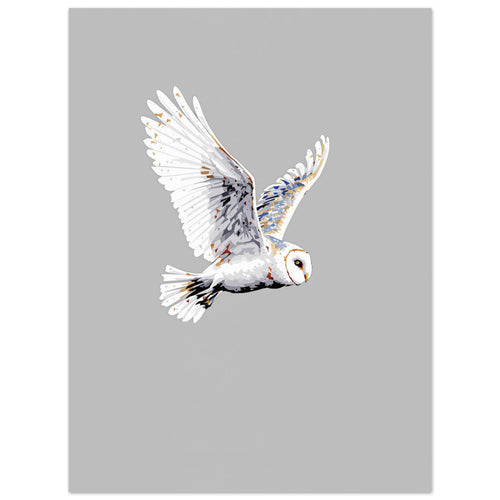 Barn Owl Flight Art Print Poster Wall Art UK — Art Print | Wild Thread Co