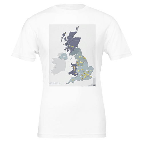 British Weather Map Emotional Forecast T-Shirt | Funny Gift - Wild Thread Co