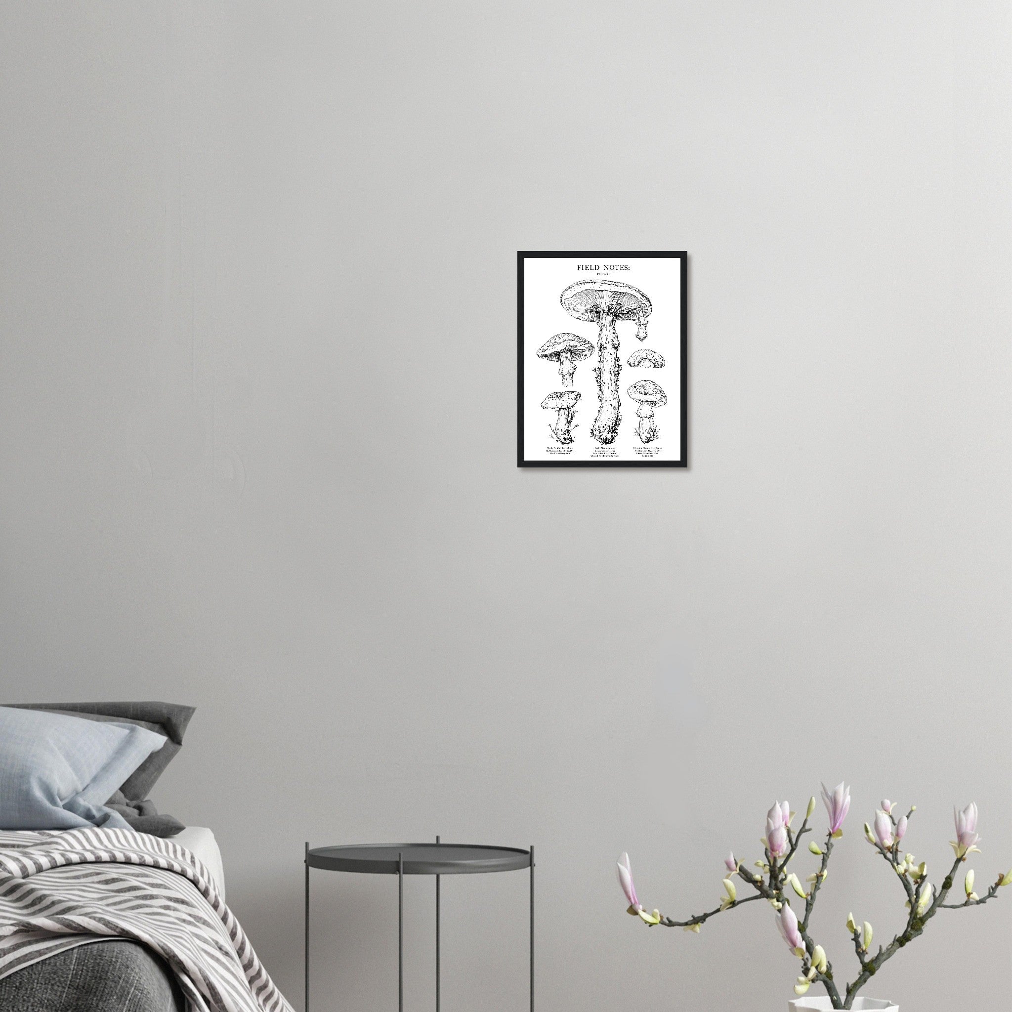 ce5395df-1bf0-4ebe-9f94-9c6788ef1f4b