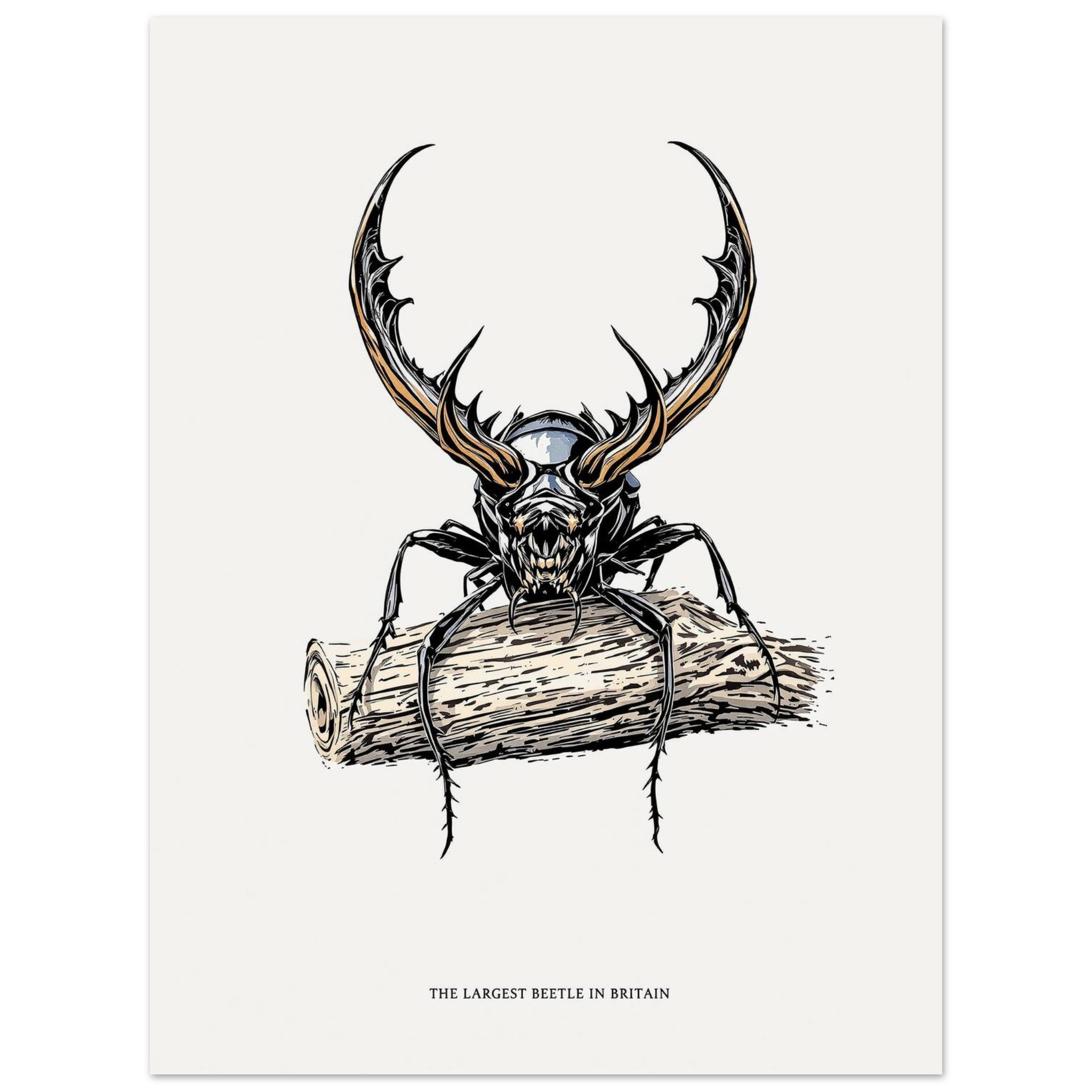 Stag Beetle Oak Log British Insect Art A1 UK Art Print Art Print — detail view | Wild Thread Co