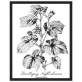 Dark Academia Gothic Botanical Framed Print Wall Art Ready to Hang UK — Framed Art Print | Wild Thread Co UK