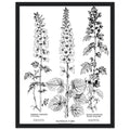 Victorian Botanical Poisonous Plants Wall Art Ready to Hang UK Framed — Framed Art Print | Wild Thread Co UK