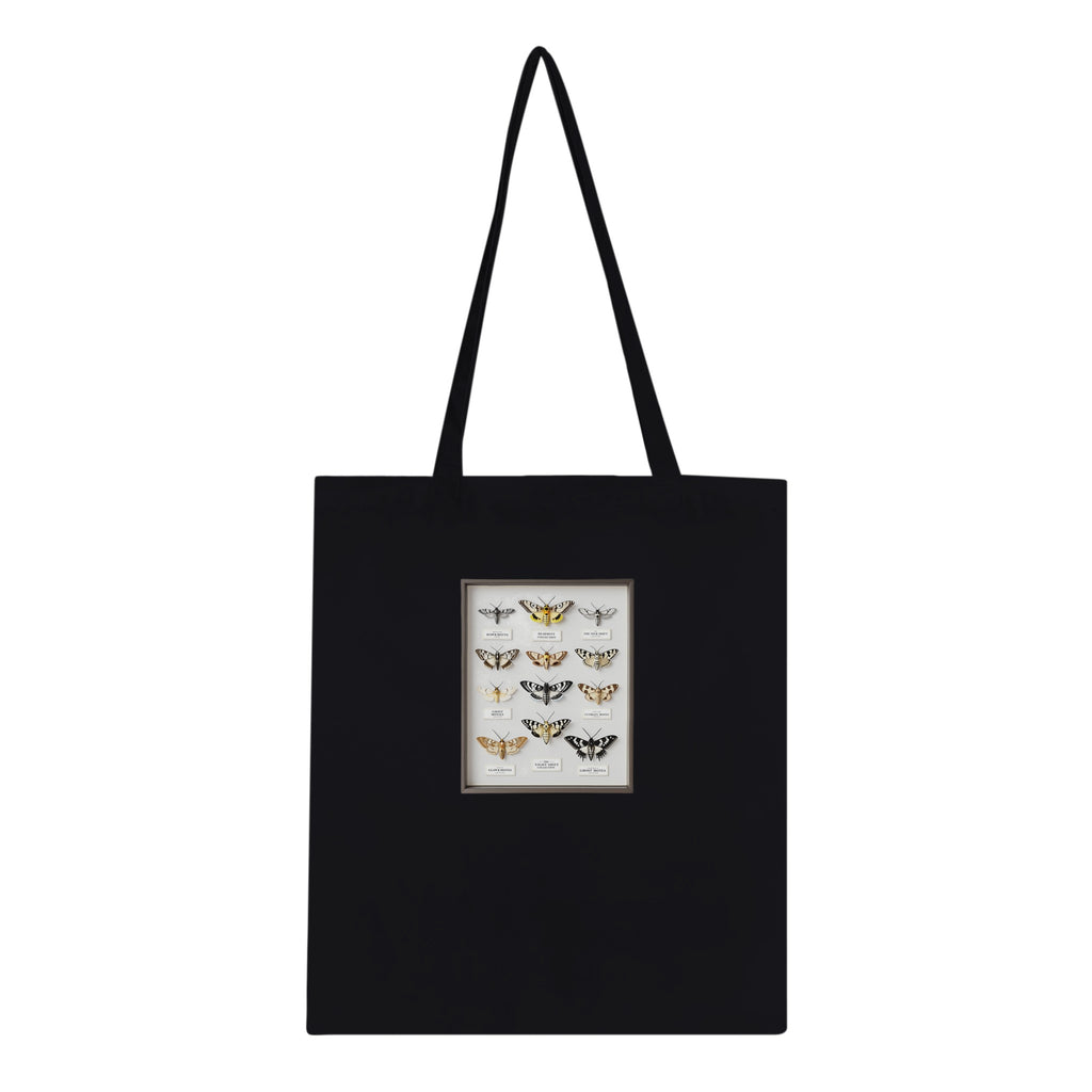 Moth Collector Specimen Case Cotton Shopper UK Tote Bag — detail view | Wild Thread Co