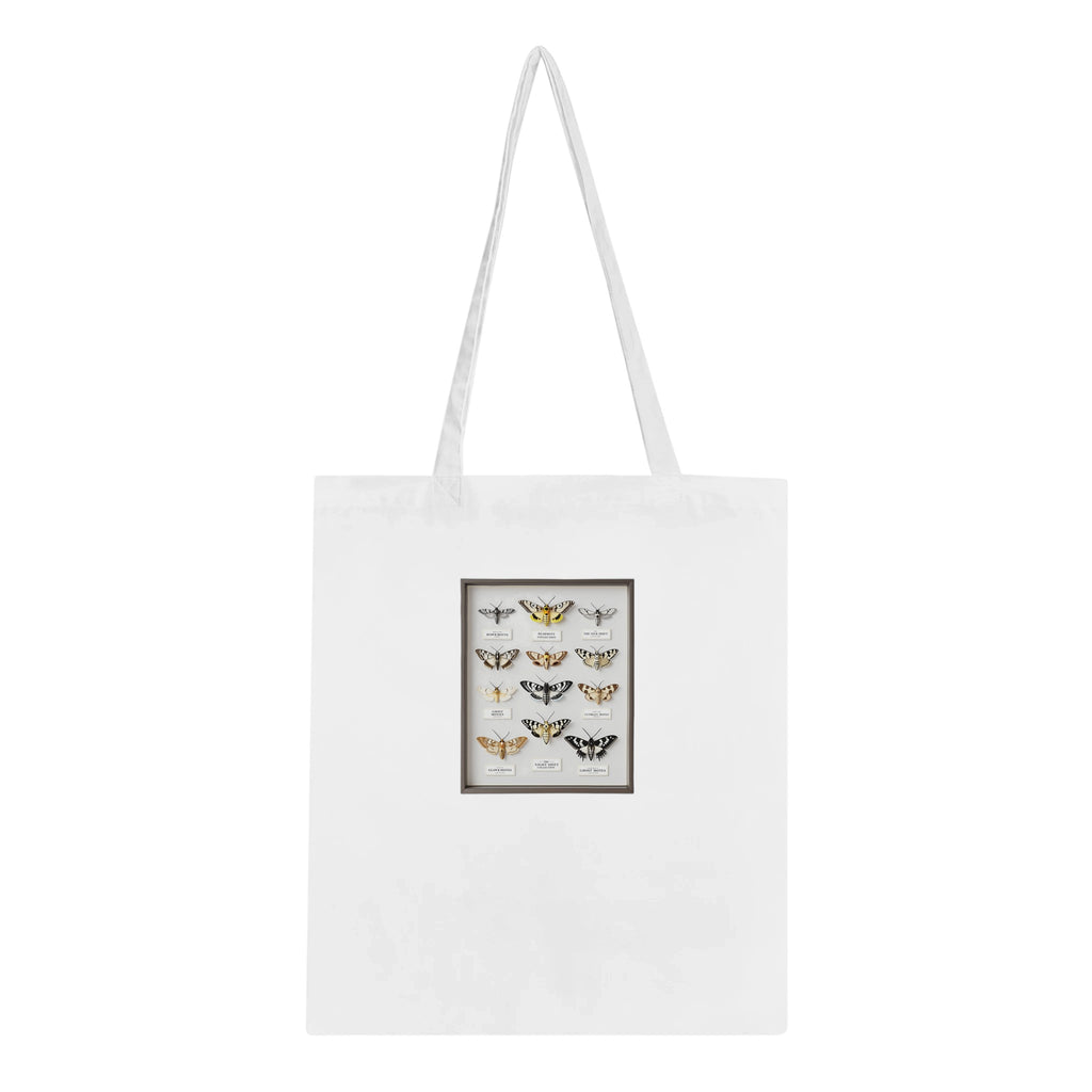 Moth Collector Specimen Case Cotton Shopper UK Tote Bag — detail view | Wild Thread Co