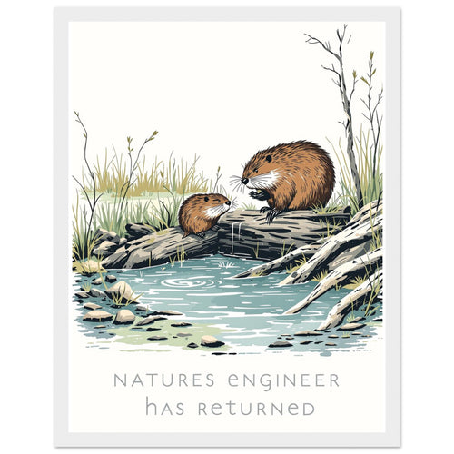 Beaver Rewilding Dam Builder Framed Print Wall Art Ready to Hang UK Framed Art Print — detail view | Wild Thread Co