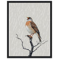 Mistle Thrush Singing Storm — Framed Art Print | Wild Thread Co UK