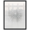 Spider Web Morning Dew Architecture — Framed Art Print | Wild Thread Co UK