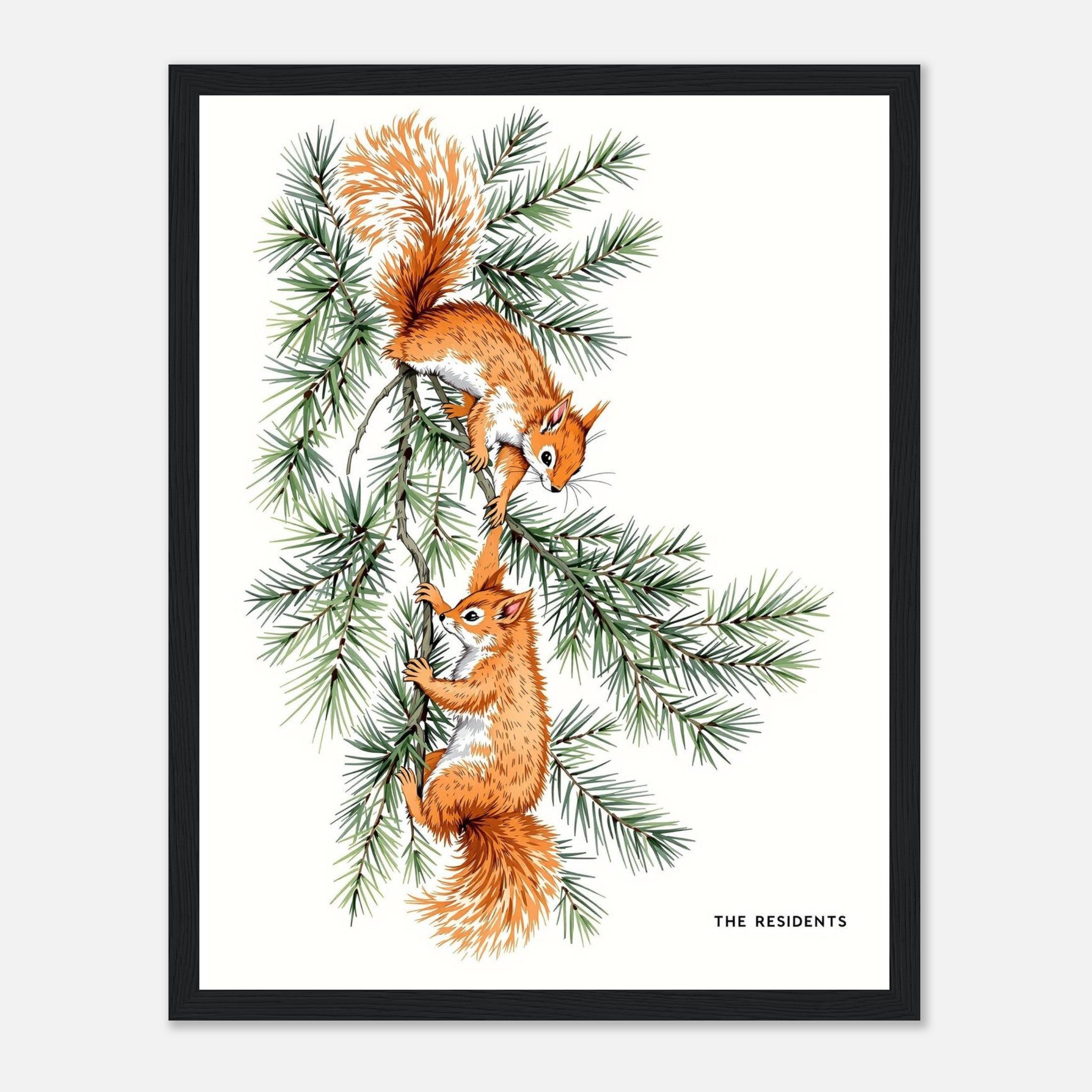 Red Squirrel Formby Pine Framed Print Wall Art Ready to Hang UK Framed Art Print — detail view | Wild Thread Co