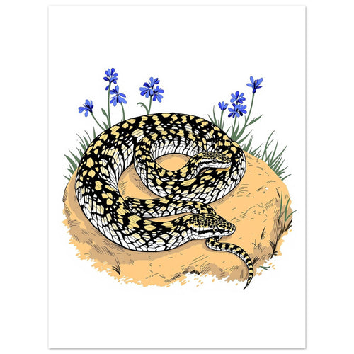 Adder Snake British Reptile Art Art Print Poster Wall Art UK — Art Print | Wild Thread Co