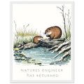 Beaver Rewilding Dam Builder Framed Print — Framed Art Print | Wild Thread Co