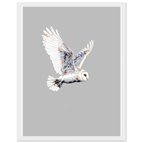 Barn Owl Flight Wall Art Ready to Hang UK Framed Art Print — detail view | Wild Thread Co